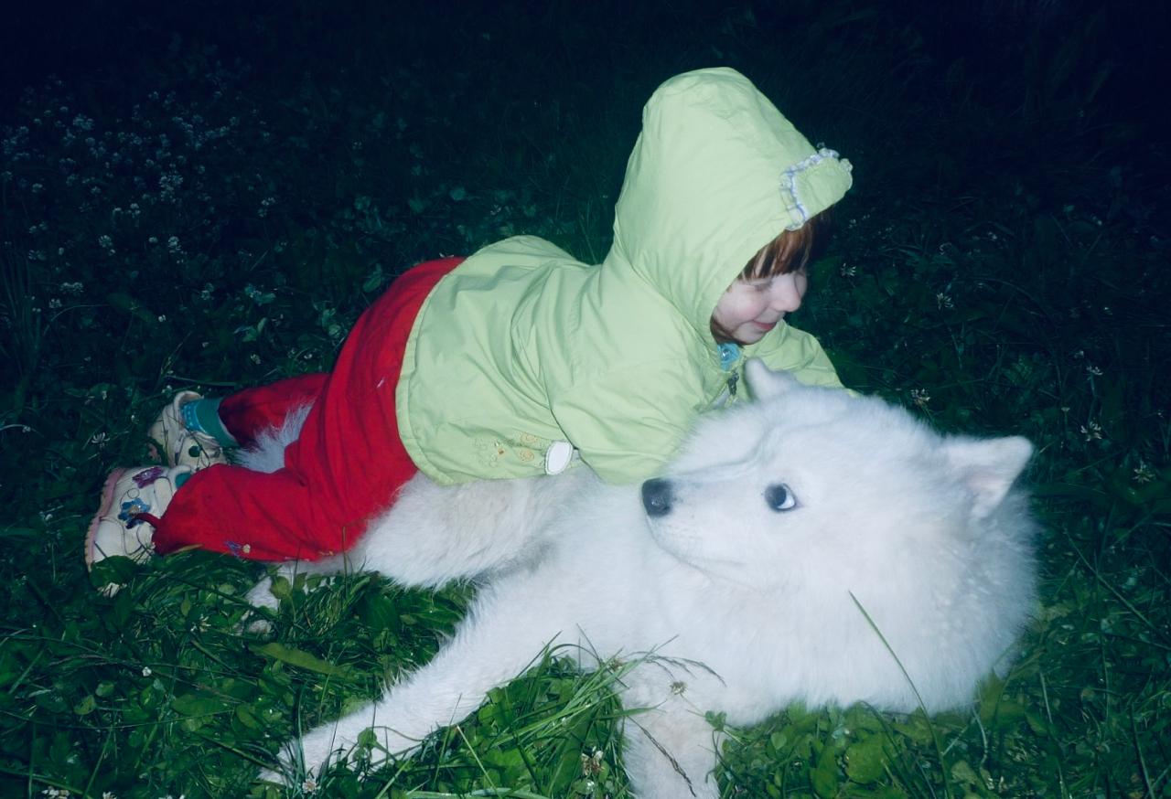 Самоед и дети