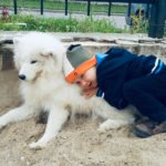 О породе